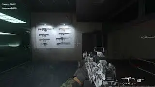 My meta loadout. ep.1