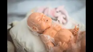 Авторская кукла из силикона 