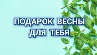 ПОДАРОК ВЕСНЫ ДЛЯ ТЕБЯ. 🌿Расклад Таро 🌿