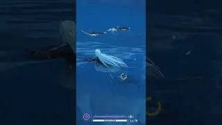 Ada ikan pari di game Wuthering Waves?? #wutheringwaves #wuwa #fyp #shorts