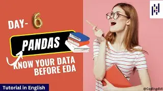 DAY-6 Unlock Your Data: Powerful Techniques in pandas