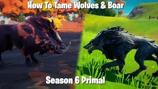 How To Tame A Wolf And Boar in Fortnite Season 6