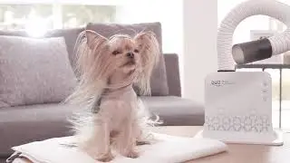 DUZ Hands Free Dryer