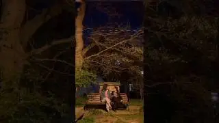 Страшилки хоррор ужасы страшные истории идея Эвелины Апситаровой #horrorstories
