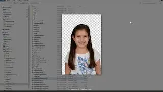 Simple Libcurl, FreeImage Use in Visual Studio