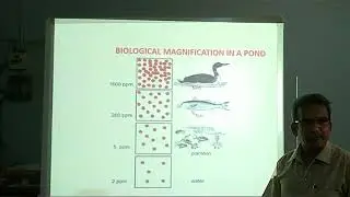 Grade 10 Science Our Environment