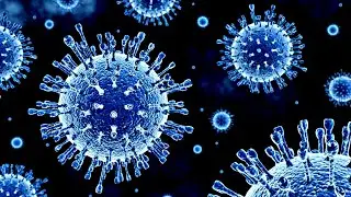 Top 7 Deadliest Diseases In Human History