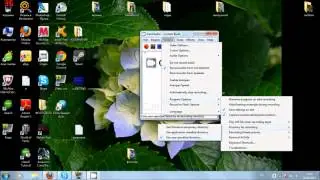 Как правильно настроить CamStudio и Fraps