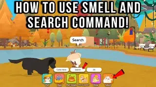 How To Use Perfumes, Smell and Search Command | Play Together