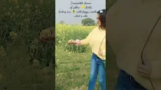 #veerzara #srk #ddlj #love #entertainment #youtube #shortvideo #shorts