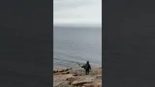 Берег Баренцово моря с камнями, как яйца драконов