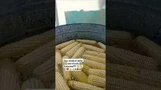 Que vende el señor que traía cámaras en su triciclo?? 😱😱❤️❤️👍🏼👍🏼 #mexico