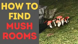 How to Find Mushrooms in Once Human