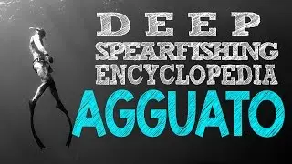 Deep Spearfishing Encyclopedia: Agguato