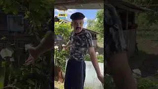 БАТЯ В ПАРАЛЕЛЬНОЙ ВСЕЛЕННОЙ...