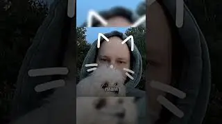 хорошисики все 