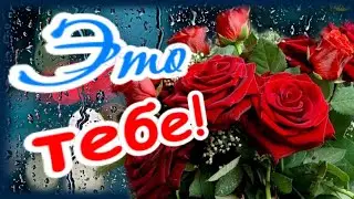 Это тебе! От меня! Не просто так, а от души!