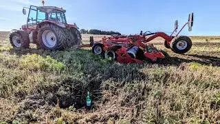 Les pièges tendus par les sangliers