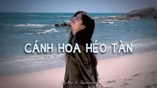 Cánh Hoa Héo Tàn (1 Hour) - Mochiii x Quanvrox「Lofi Ver.」/ Official Lyrics Video