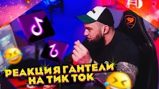 Vlad Gantelli's reaction to TikTok