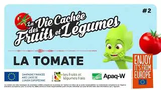 La tomate - La vie cachée des fruits et légumes