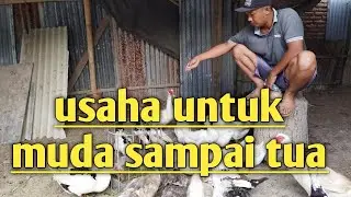Peluang usaha rumahan yang mudah dilakukan dari usia muda sampai tua ( 10 tahun - 90 tahun )