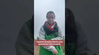 13 июля 2024 г.