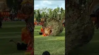 MAGIS REOG TANPA MAGIC 