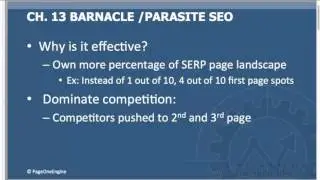 13 1 Barnacle SEO