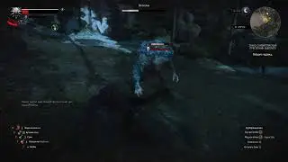 The Witcher 3