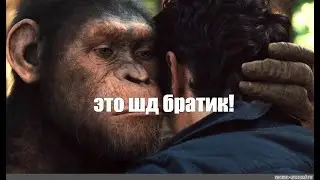 Это шд братик :(. ЗАГРИФЕРИЛ ЮТУБЕРА FROZENZZ.