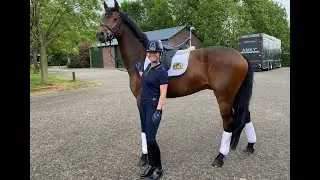 Trainen met Anky v Grunsven | Danielle van Mierlo