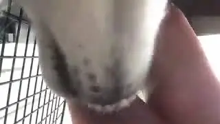 여자 발바닥