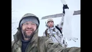 ОХОТА на ЗАЙЦА  ОХОТА С СОБАКОЙ ПОДНЯЛ с ЛЕЖКИ ЗАЯЦ ВЫШЕЛ на НОМЕР ДОБЫЛ ЗАЙЦА