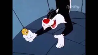 Cat foot tickle