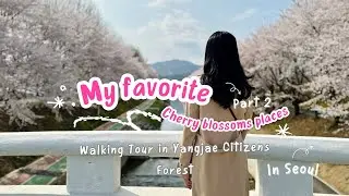 4K 🎥 Cherry Blossoms Walking Tour in Seoul | Part 2 | Spring in Korea 2024