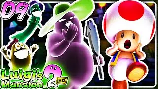 🌙 Ein gefangener TOAD und die Geisterschwestern auf dem FRIEDHOF (B-3) 🪦 Luigi's Mansion 2 HD #9