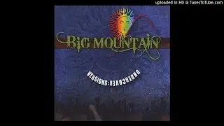 Big Mountain (Feat. Fiji) - A Place In The Sun