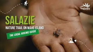 Salazie Trail on Mahe Island | The Local HIking Guide | The Seychelles Islands