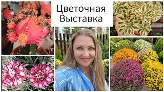 Выставка Цветов в Илиуполи 2024🍂