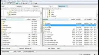 Installing a Pexeto Theme via FTP Upload