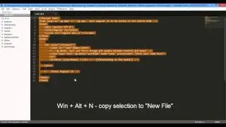 Sublime Text    Copy to New File From Selection   package 720p