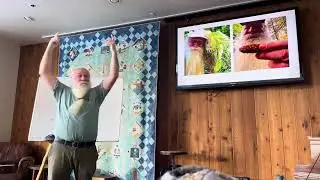Wisdom from the Woods. Trees are my teachers. Part 6 (tree sampler)