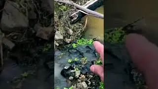 Gold Prospecting Secret You Didn't Know About!