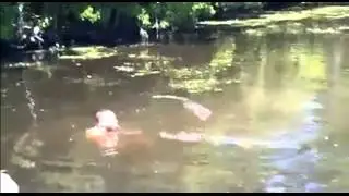 Alligator eats Mouse from Trainer's Mouth