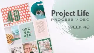 Project Life Process Video // Week 49, 2023
