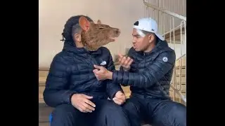 Le Rat Discret, Prudent, Très proche de l'Homme !
