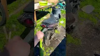 Оффроад на скутере, грязь везде!