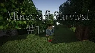 Minecraft Server Survival #1 De Nieuw Veplayz Server!