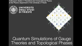 Quantum Simulations of Gauge Theories and Topological Phases